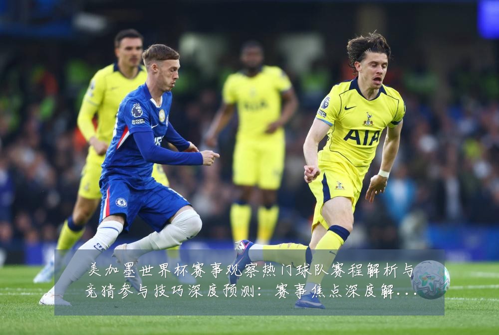 美加墨世界杯赛事观察热门球队赛程解析与竞猜参与技巧深度预测：赛事焦点深度解读与最新形势分析